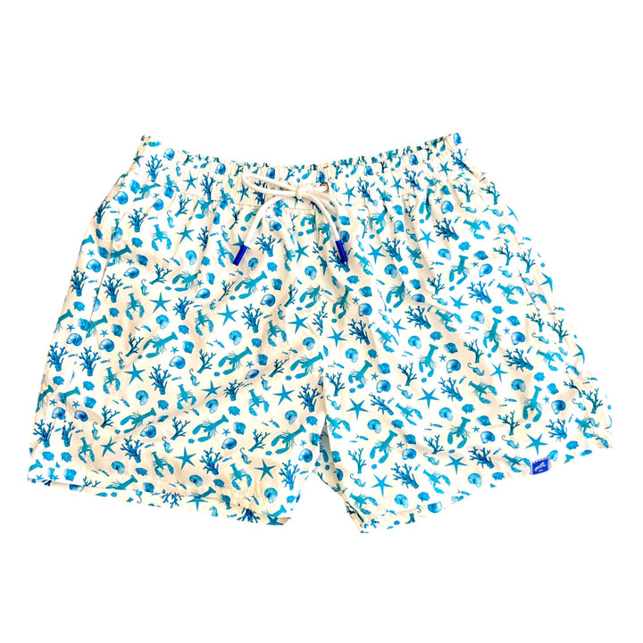 Costume 2405 Acqua Marina