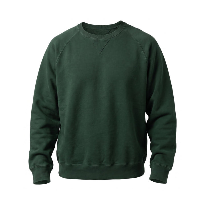 Fortela HARVARD FELPA GIROCOLLOIN JERSEY FELPATO TAGLIO REGLAN BOTTLE Verde - foto 1